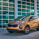 Here we see the natural habitat of the cuv. A shopping mall.